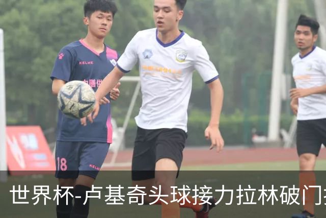 世界杯-卢基奇头球接力拉林破门扳平 加拿大1-1波黑